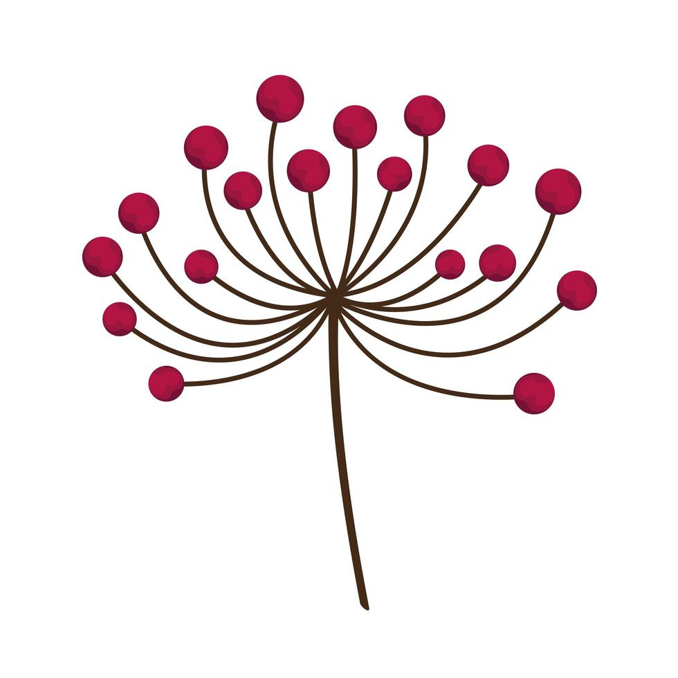 plant branch with seeds vector