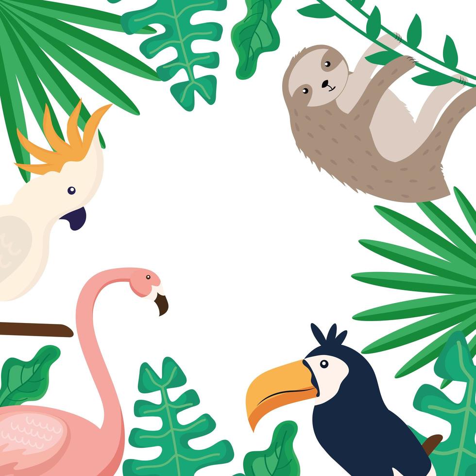 tropical animals frame vector