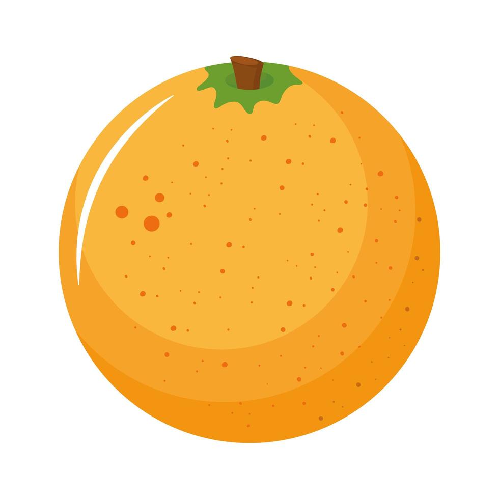 icono de fruta cítrica naranja vector