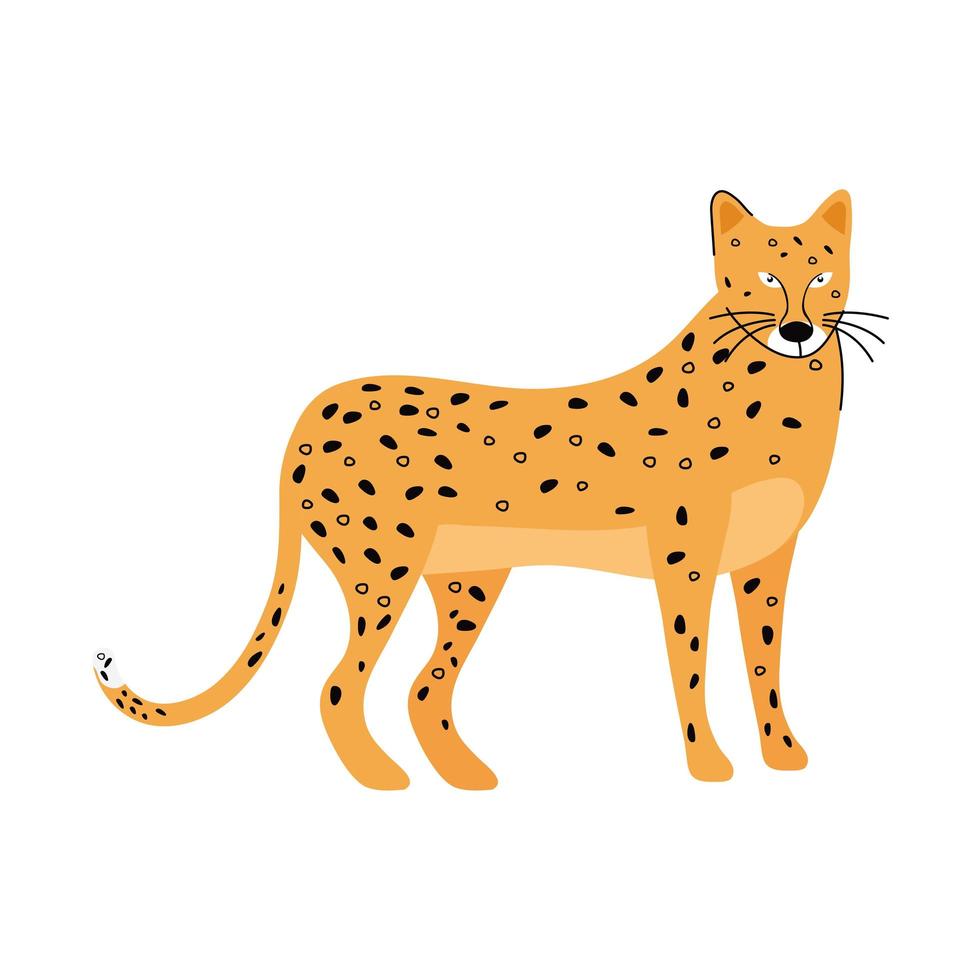 cheetah feline animal vector