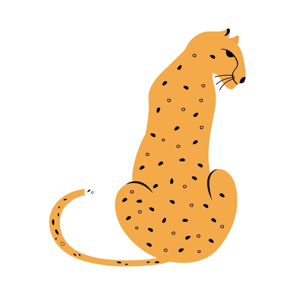 leopardo felino exótico vector