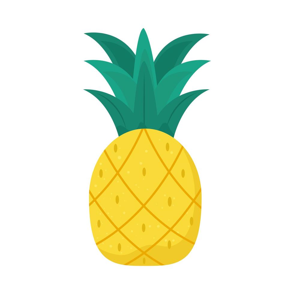 fresh pineapple fruit vector