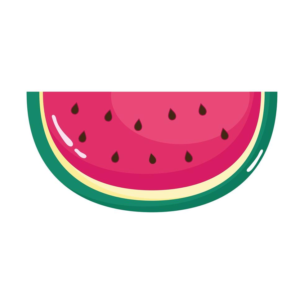 fresh watermelon half vector