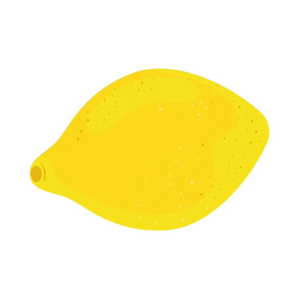 fresh lemon citrus vector