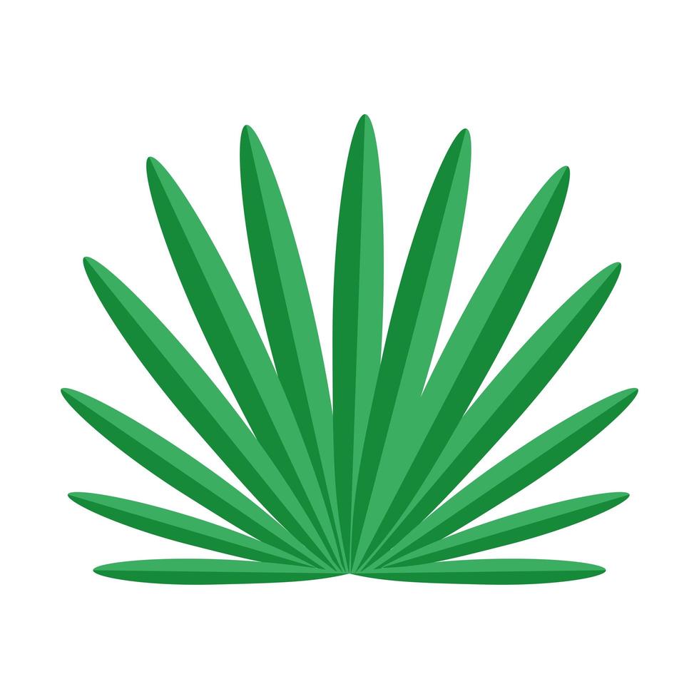 fern nature icon vector