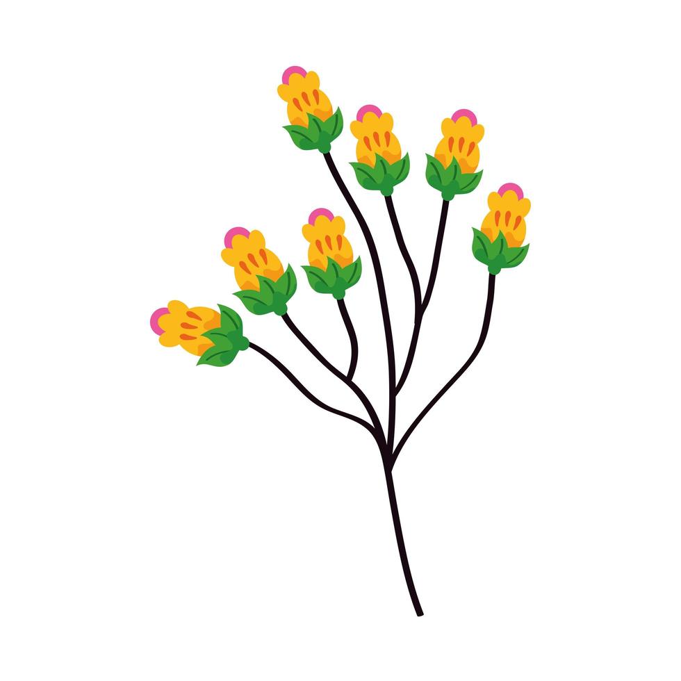 branch with flowers vector