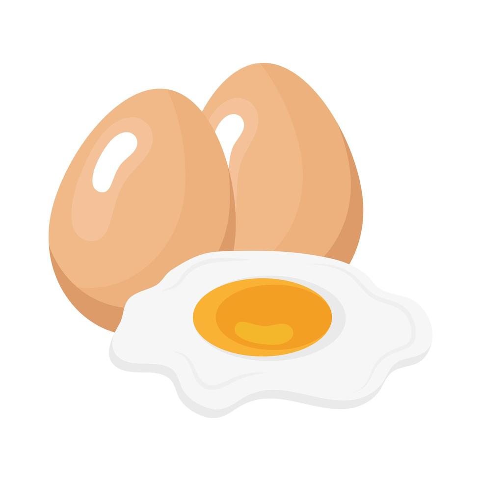 fresh eggs food vector