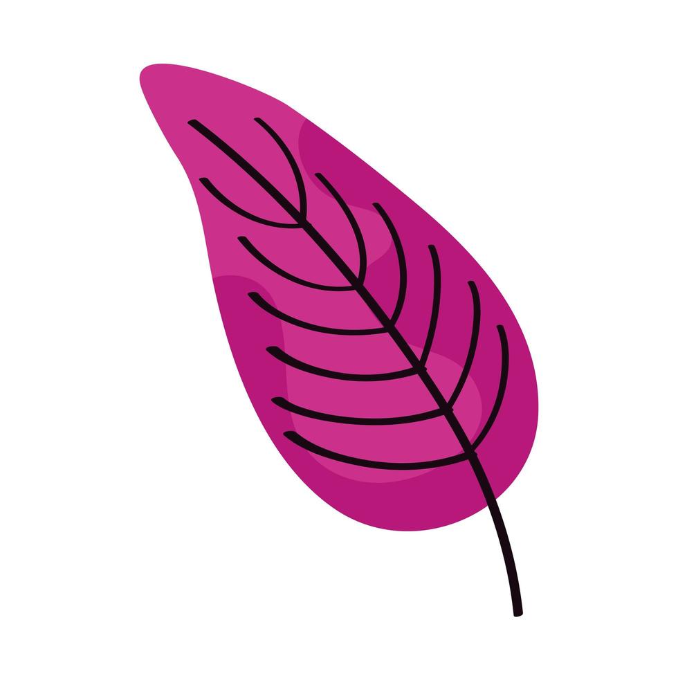 hoja fucsia aislada vector