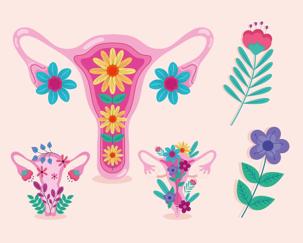 tres vaginas y flores vector