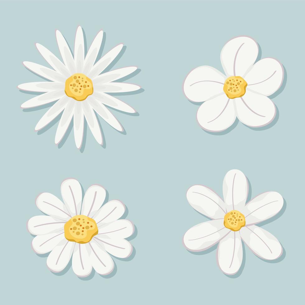 conjunto de flores con hojas blancas vector