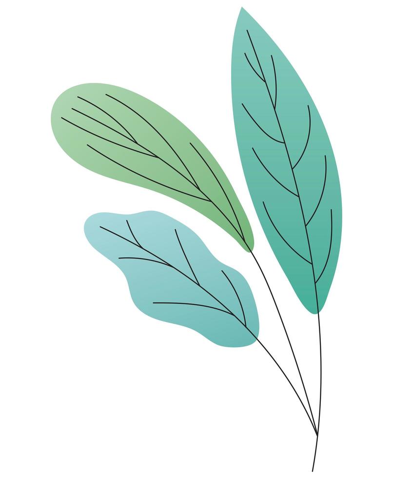 leaves of different type of green vector