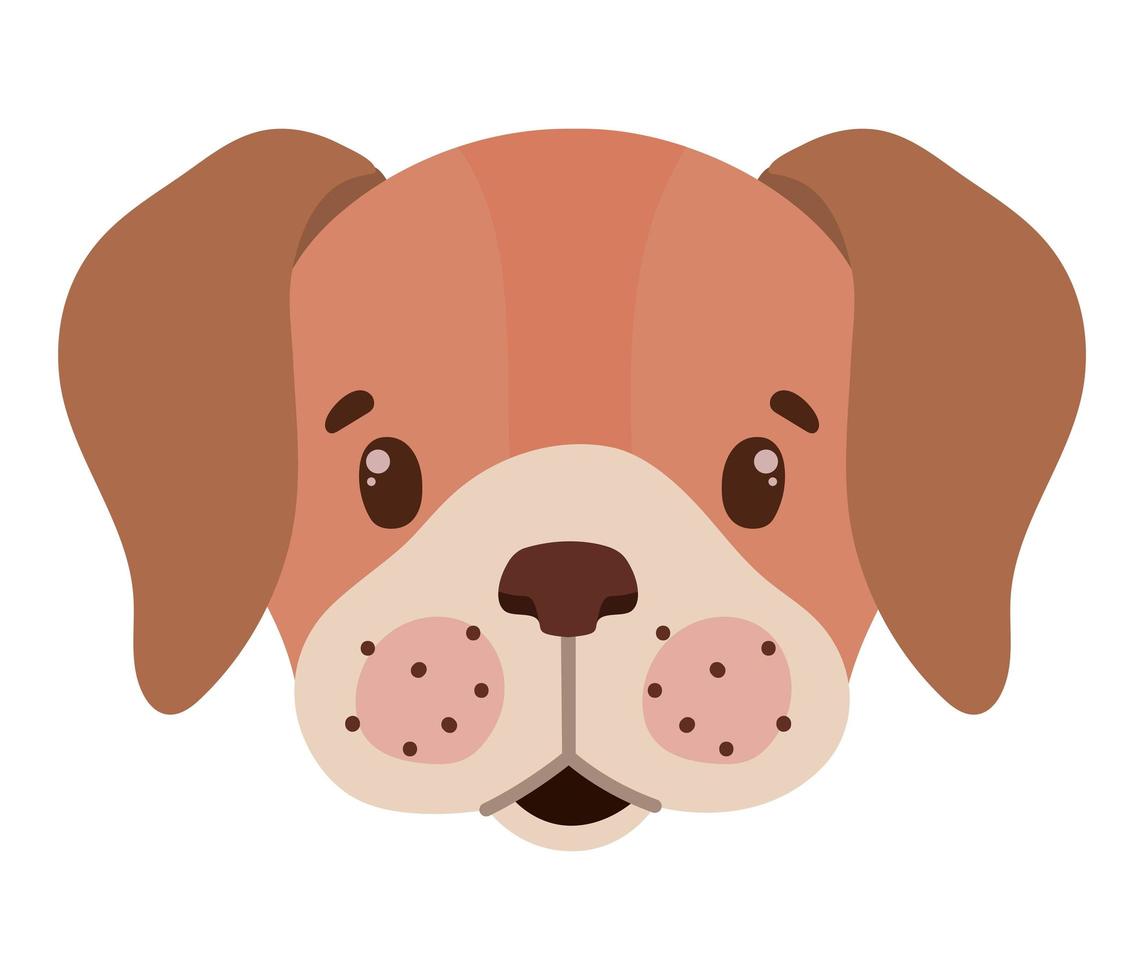 dog face illustration vector