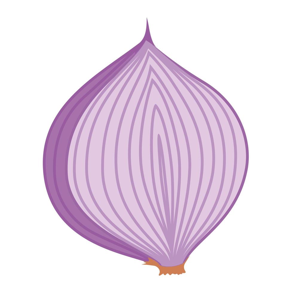 ilustración de cebolla burdeos vector