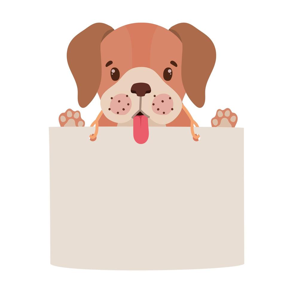 doggy holding a banner vector