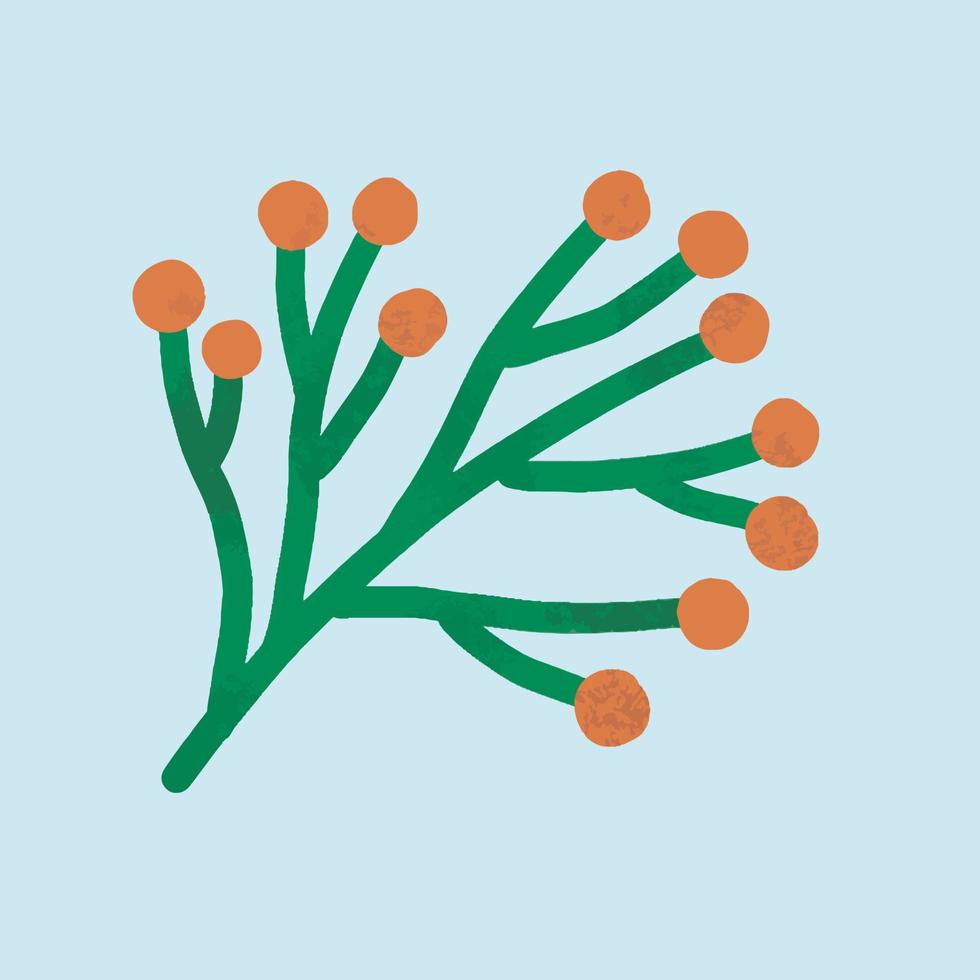 Christmas Blooms Flower Blossoms Free Graphic Vector