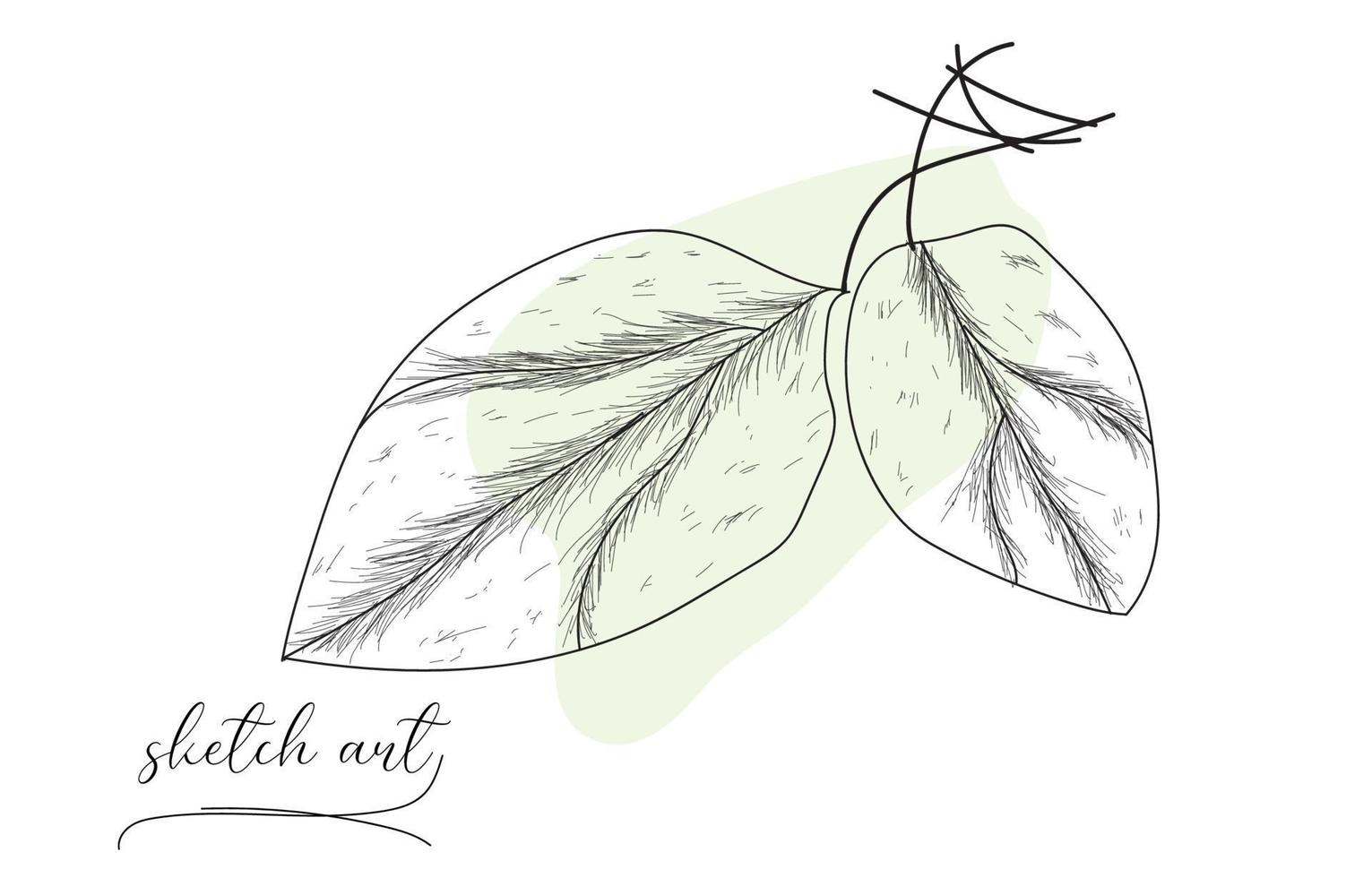 Beautiful hand drawn leaf sketch design. vector