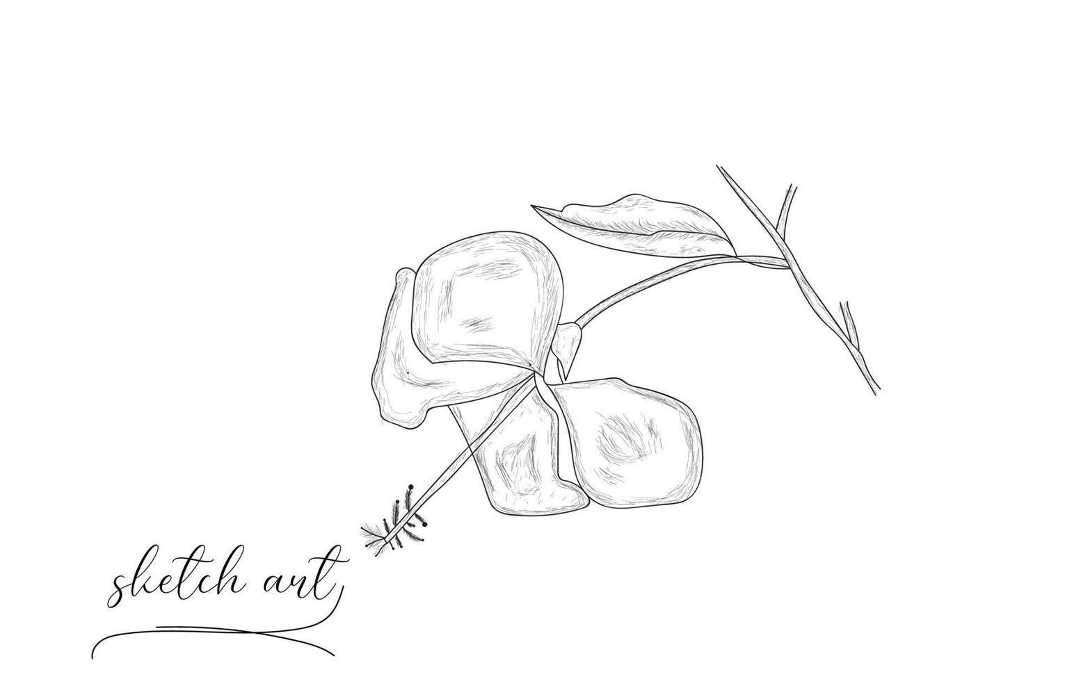 Beautiful Hand drawn flower rose sketch vector illustration.