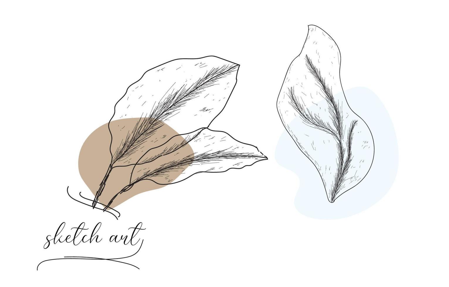 Hand drawn beautiful leaf sketch vector art illustration design.