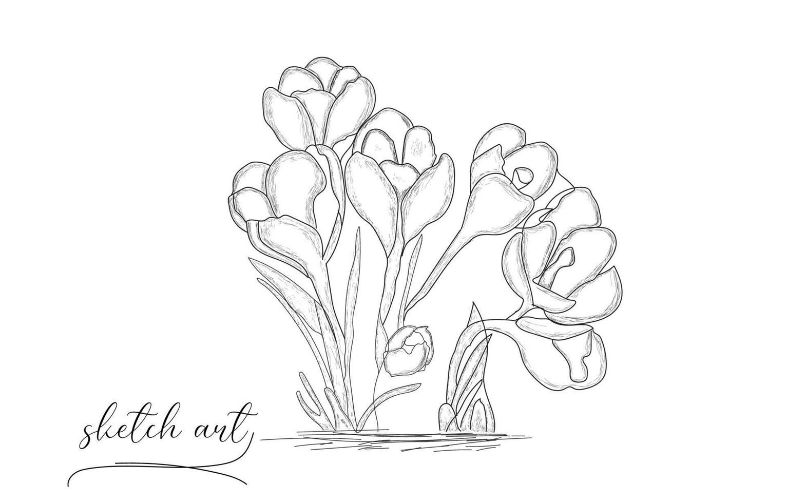 Beautiful Hand drawn flower rose sketch vector illustration.