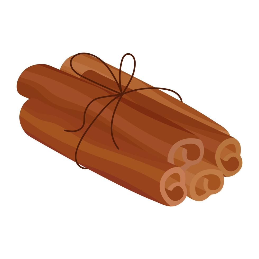 Cinnamon sticks bunch with rope. Spice for cooking isolated. Vector illustration