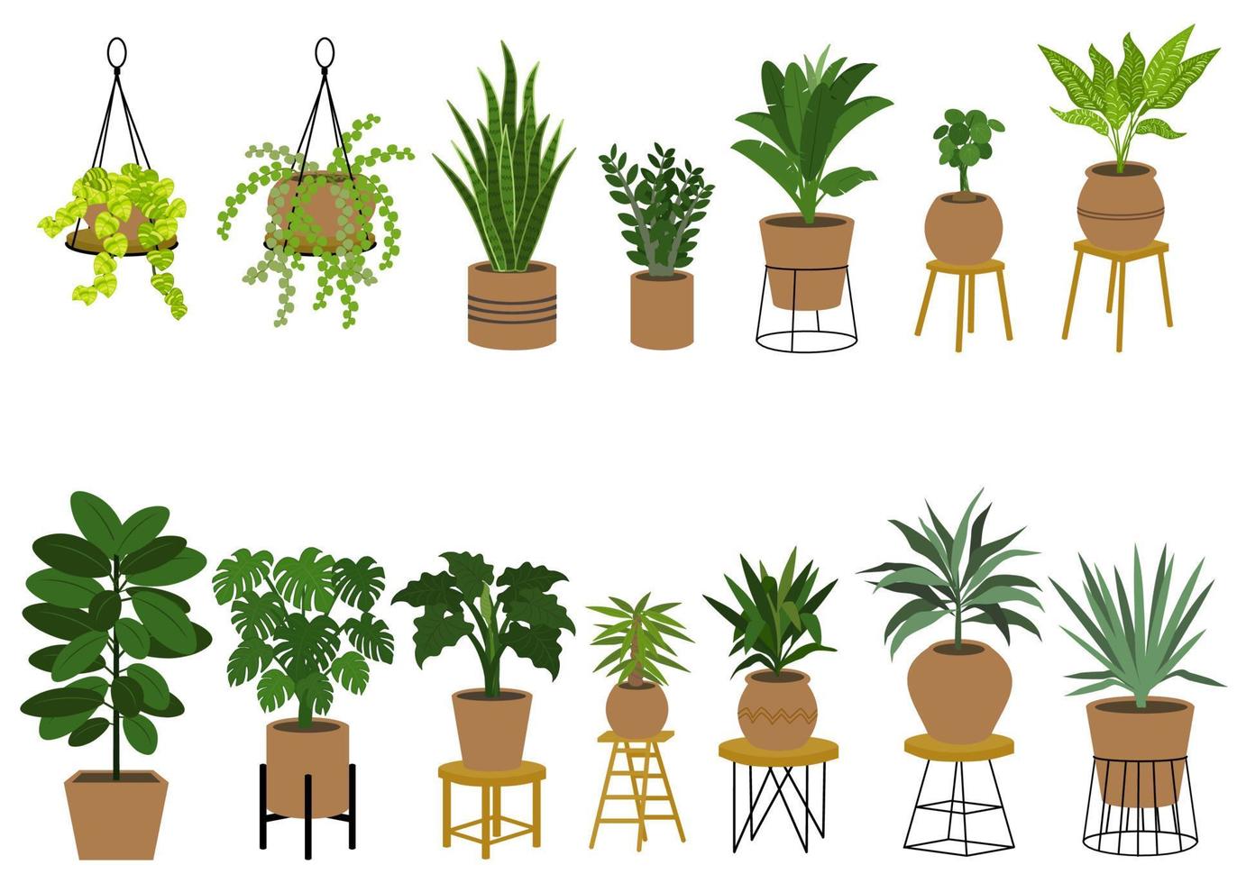 un conjunto de plantas de limpieza de aire en macetas aisladas sobre fondo blanco. concepto sobre plantas de interior, jardinería, pasatiempos, etc. vector