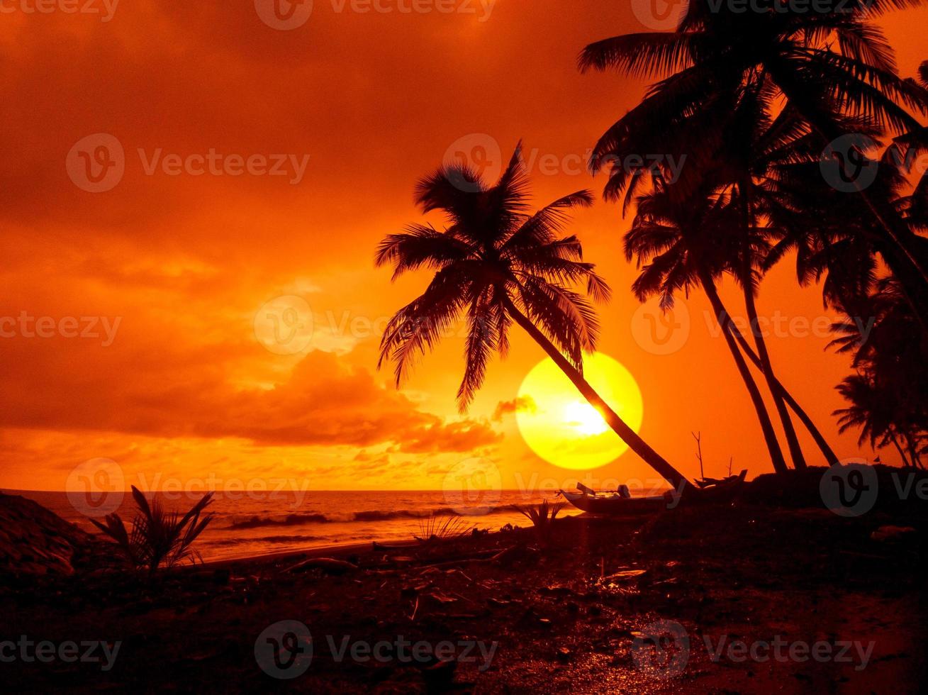 puesta de sol en la playa con silueta de palmeras foto
