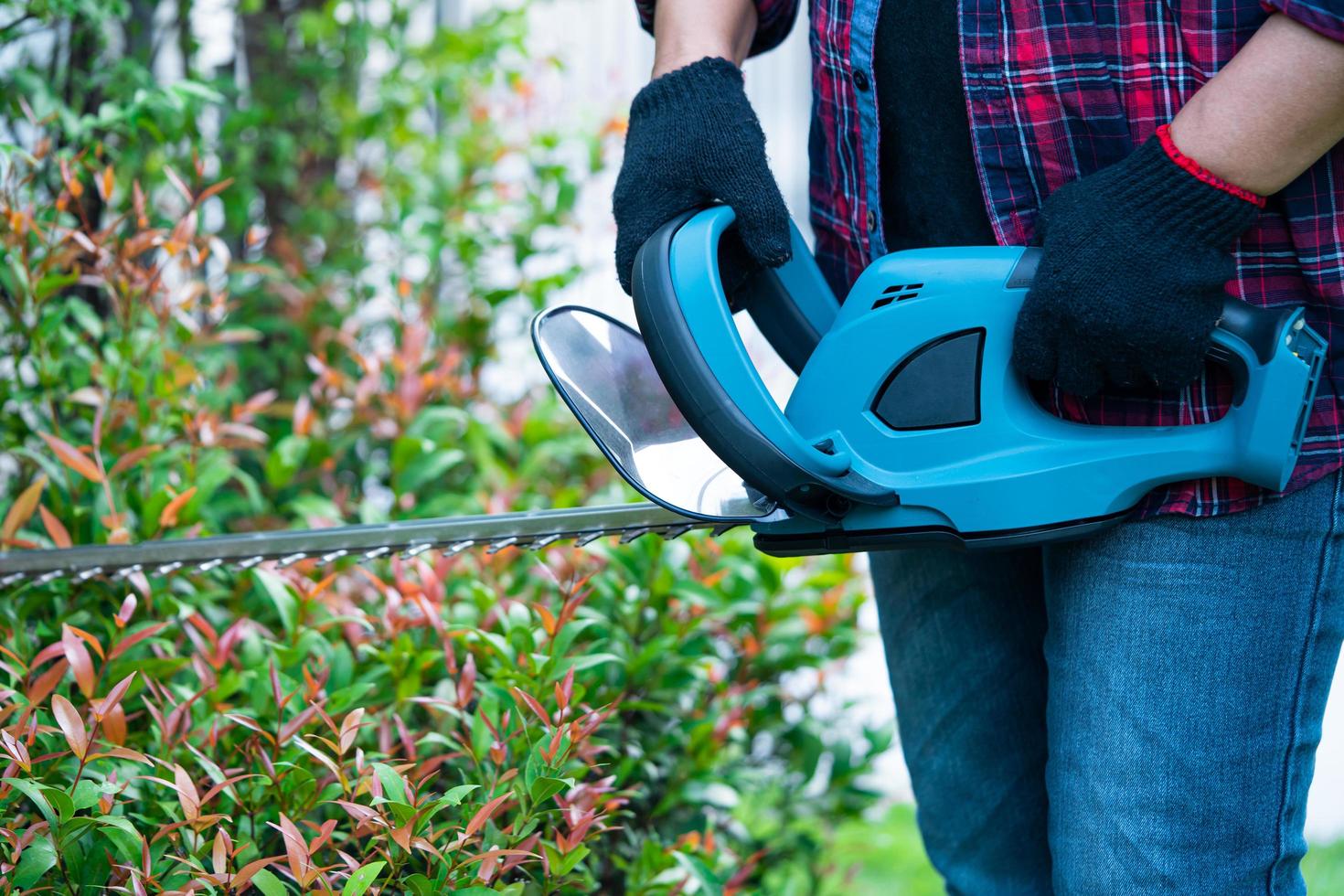 Gardener holding electric hedge trimmer to cut the treetop in garden. photo