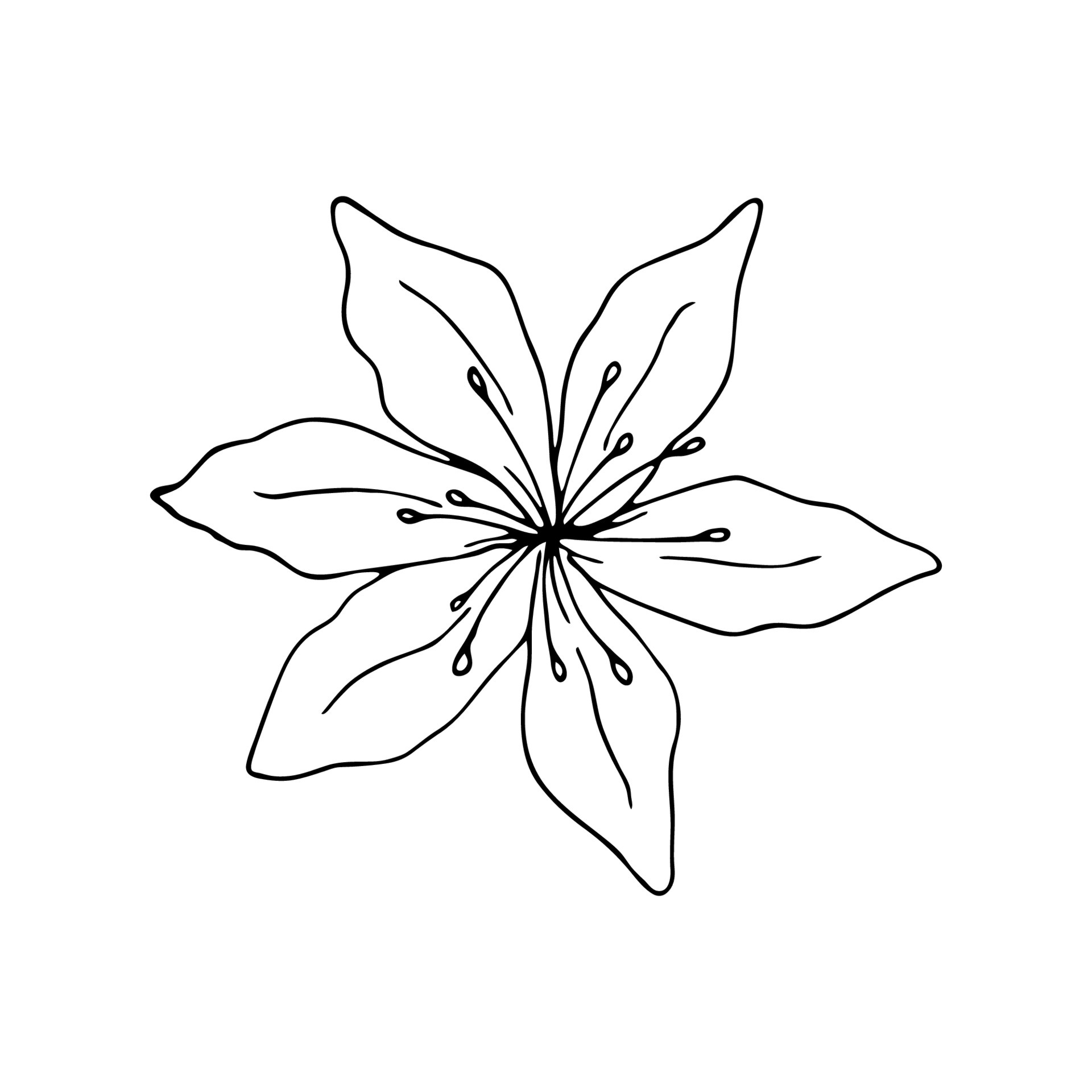 Lily flower line art. Vector black outline illustration isolated on
