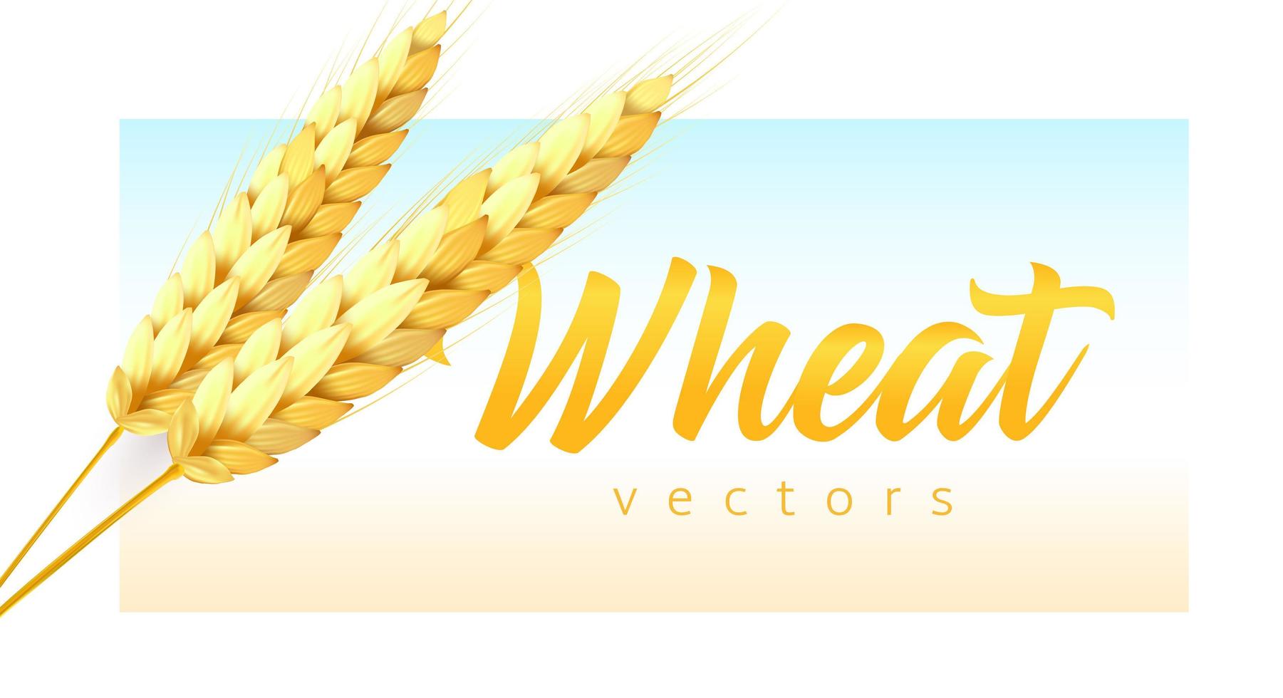 Two realistic wheat spikelets with wheat lettering on sky and field color background. Modern emblem template, vector illustration.