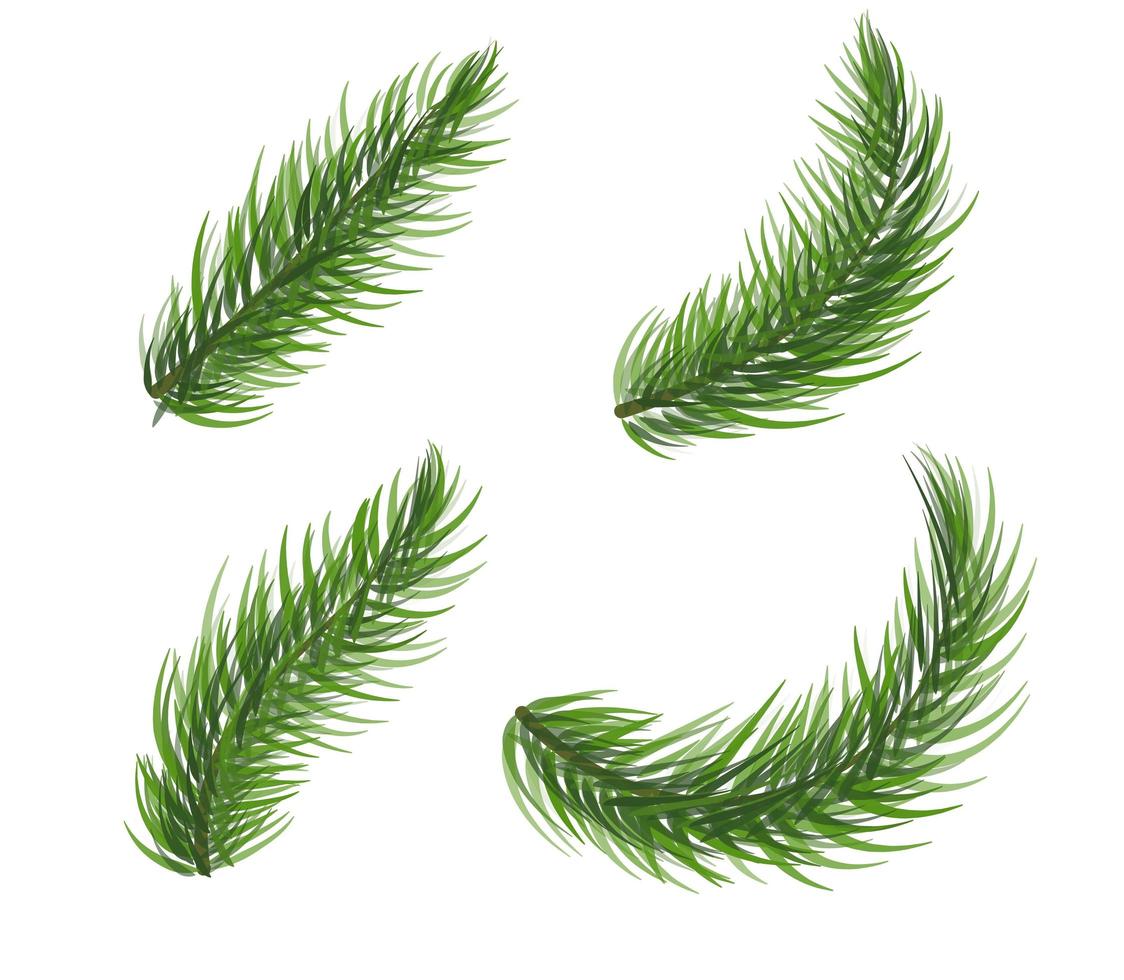 Set of pine tree branch. Fir tree christmas wreath elements. Coniferous plant icon collection on white background. New Year symbol. Vector illustration.