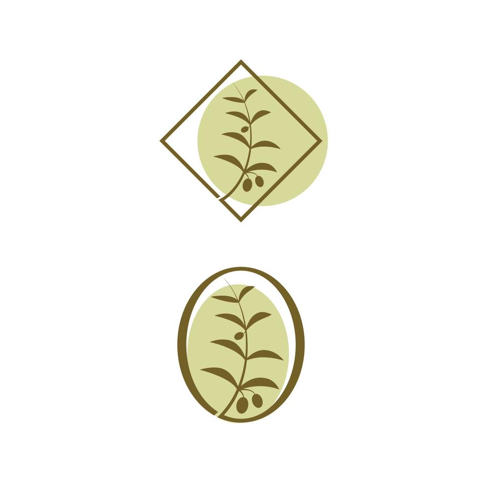 Olive icon vector illustration design