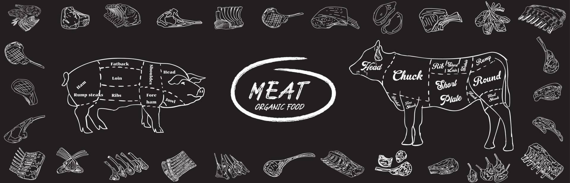 Vintage Butcher shop hand-drawn on a black chalkboard background. vector