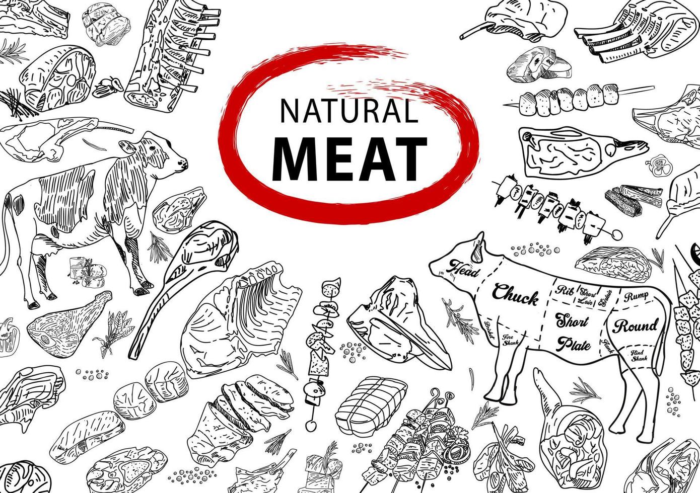 carne - colección dibujada a mano. trozos de plantilla de diseño de carne. vector