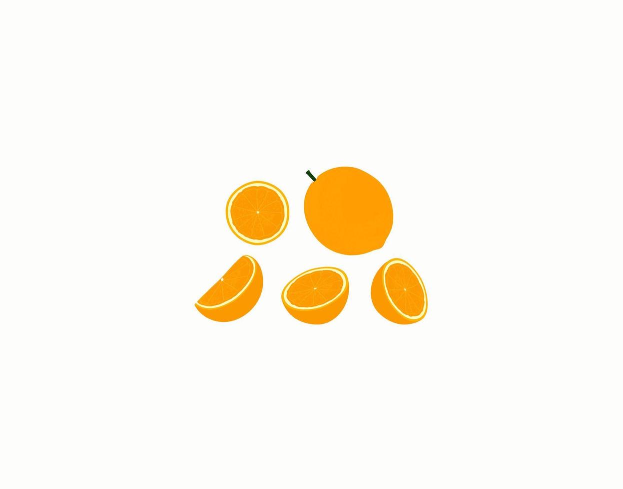 Set of orange lemon. half of a orange fruit isolated on white background. Vector illustration.