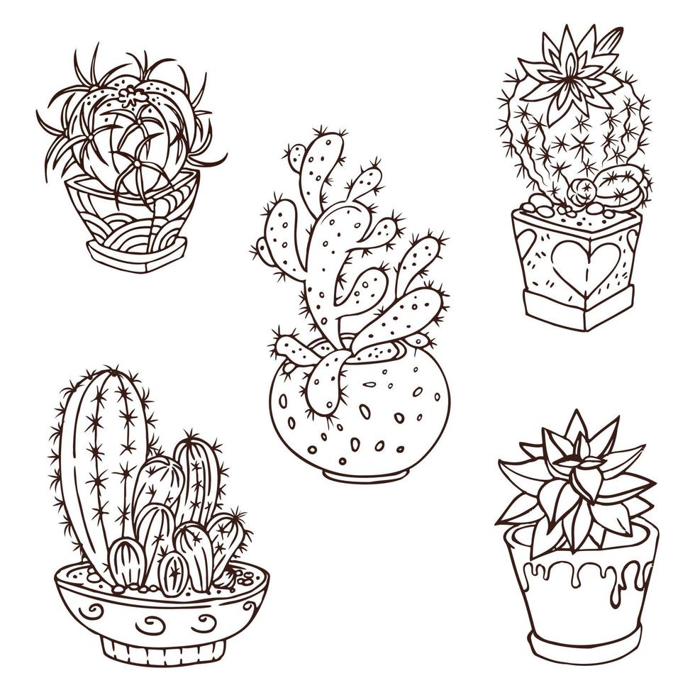 conjunto de cactus en macetas decoradas. vector