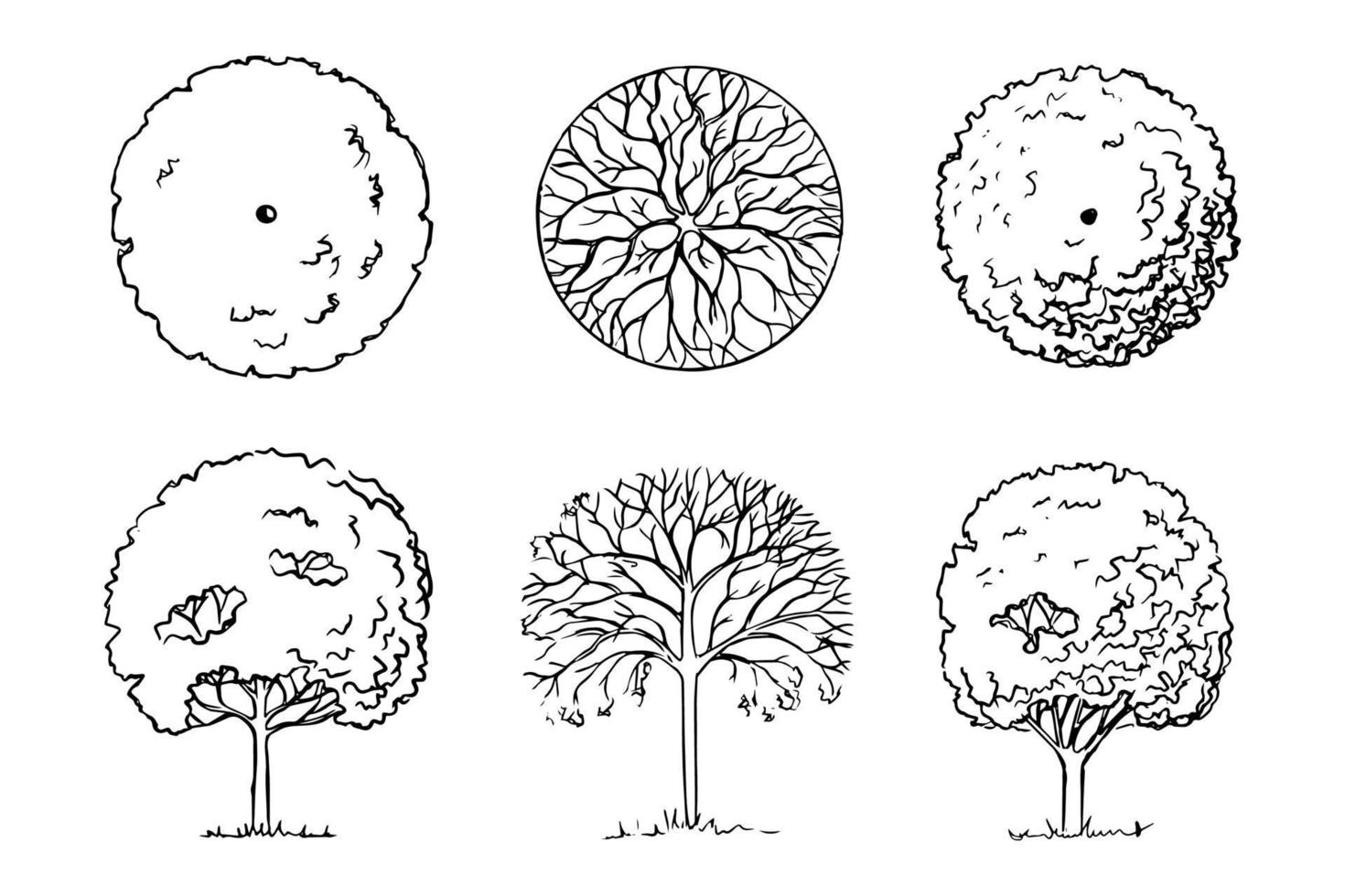 boceto de árboles dibujado a mano por la mafia. paisajismo. Tres plantas leñosas de jardín caducifolio vista frontal y vista superior. graphics.ile en blanco y negro vector