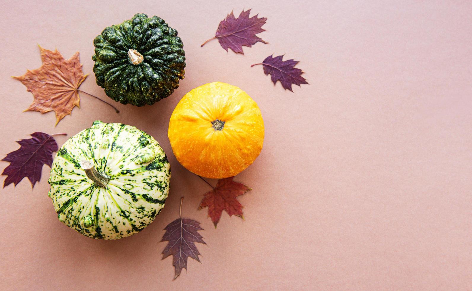 calabazas sobre un fondo marrón claro foto