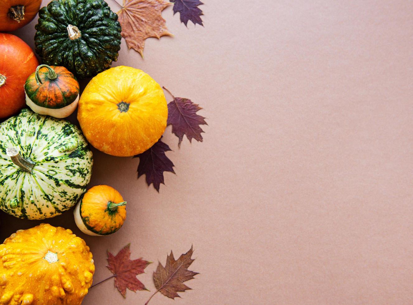 calabazas sobre un fondo marrón claro foto