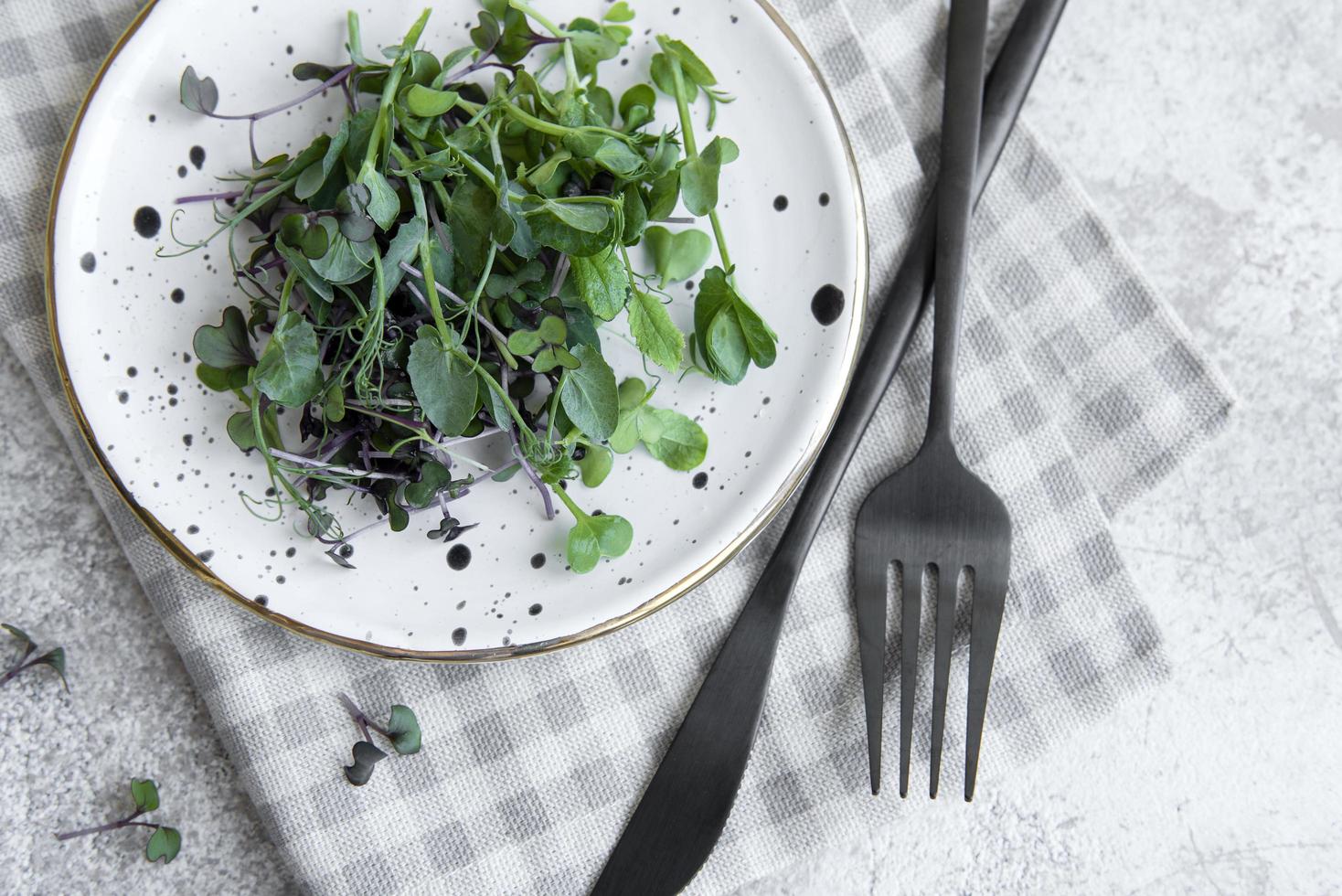 Assortment of micro greens on concrete background photo