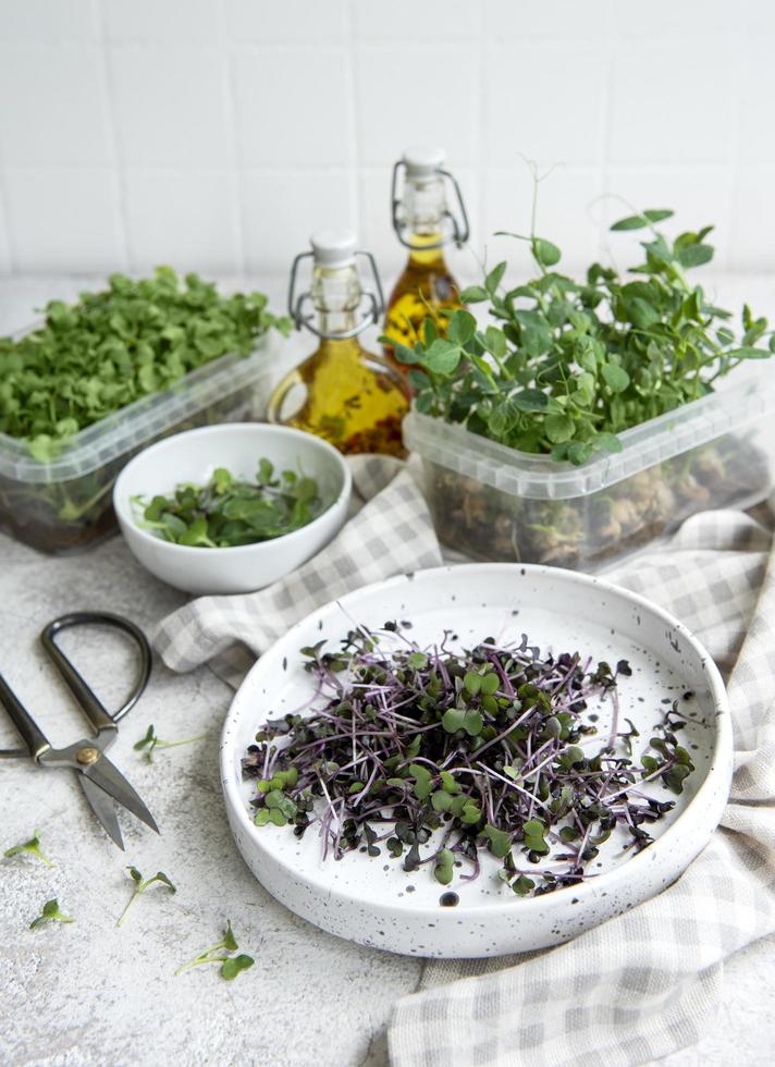 Assortment of micro greens on wooden table photo