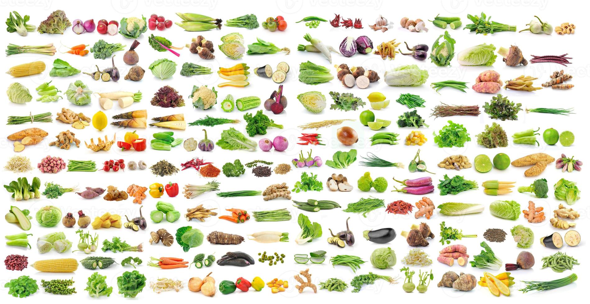 set of vegetable on white background photo