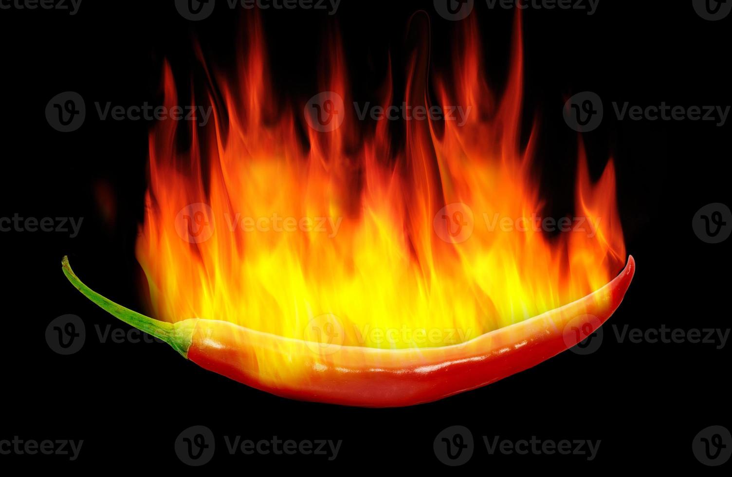 red hot chili pepperon back background photo