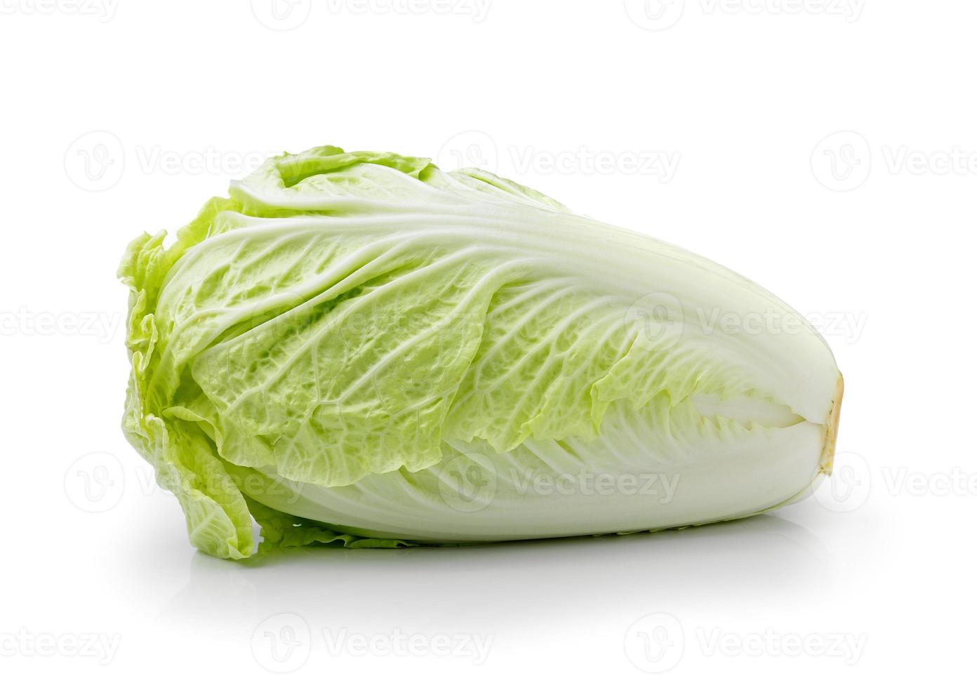 chinese cabbage  Isolated on a white background photo