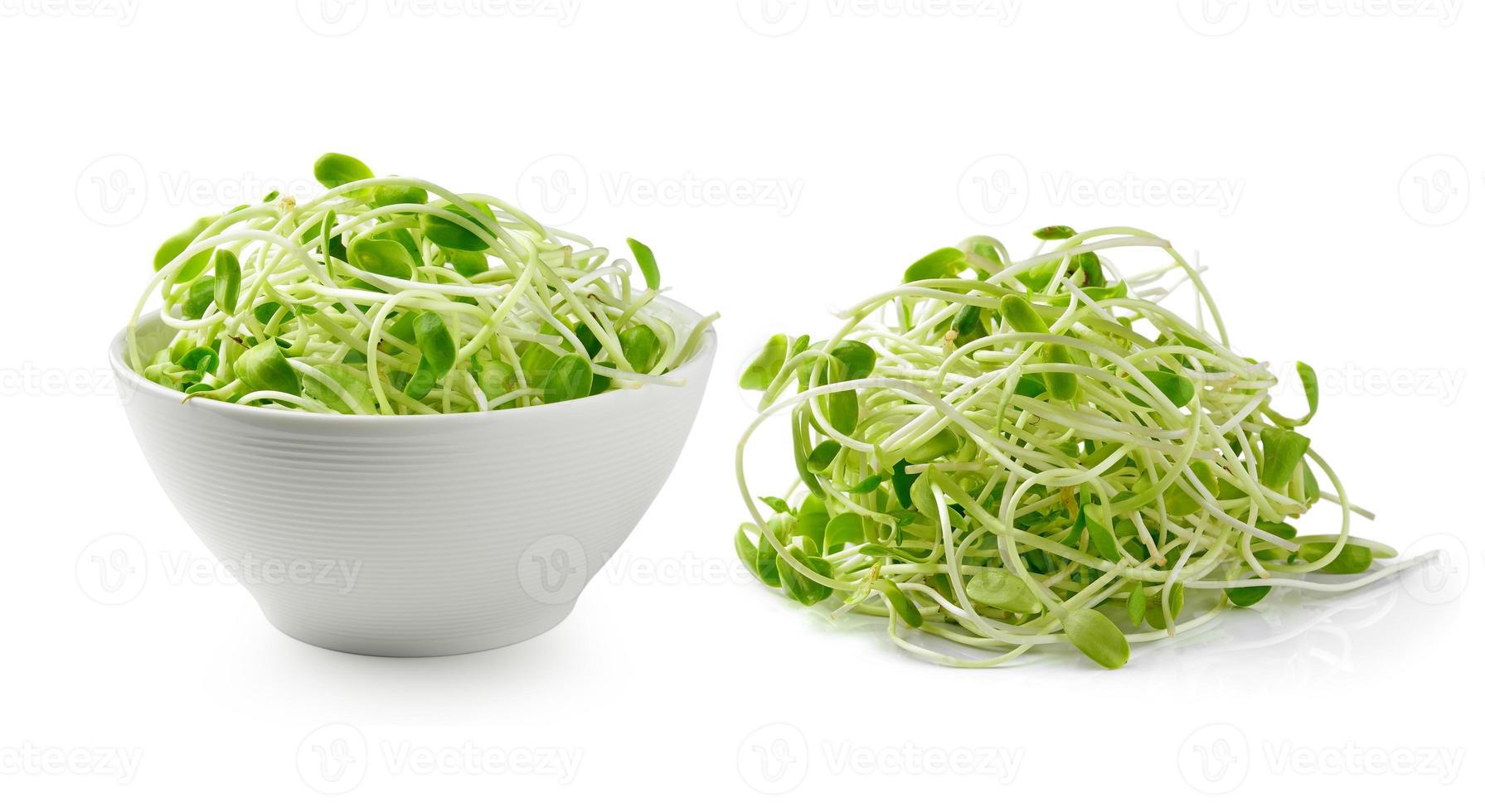 green young sunflower sprouts isolated on white background photo