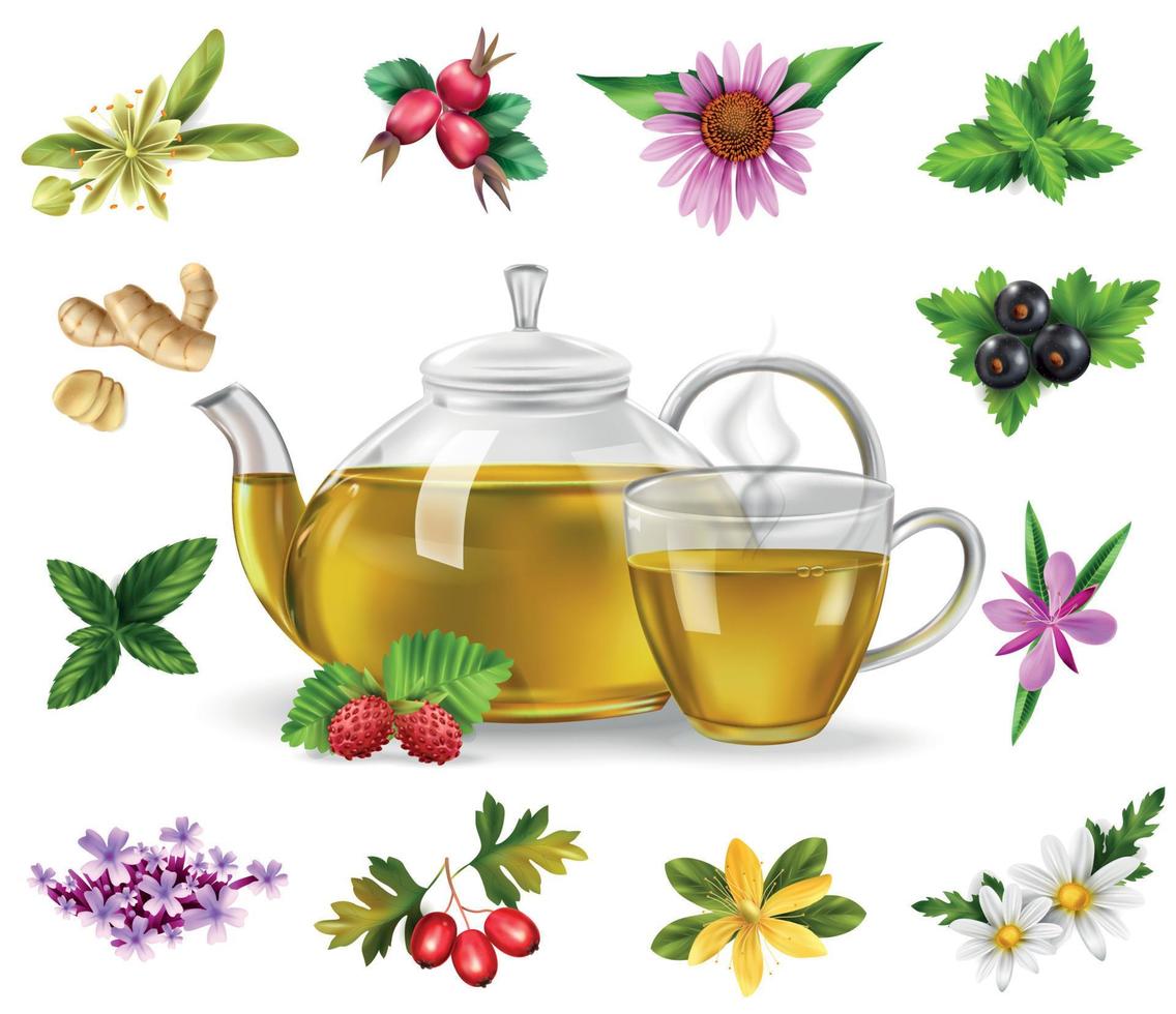 juego de té de hierbas vector