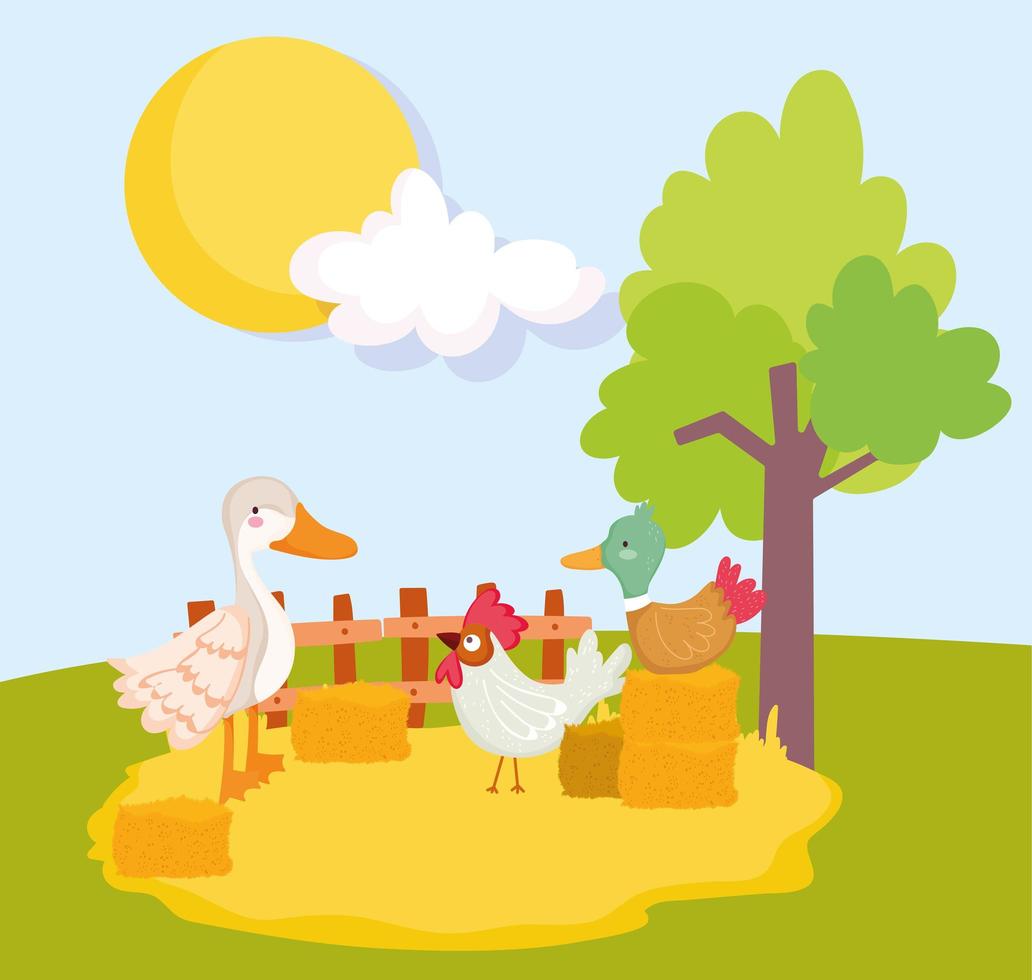 animales de granja pato ganso y gallo pila de heno y árbol vector