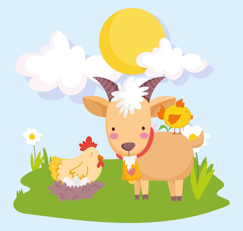 farm animals ram hen and chicken grass sunny day cartoon vector