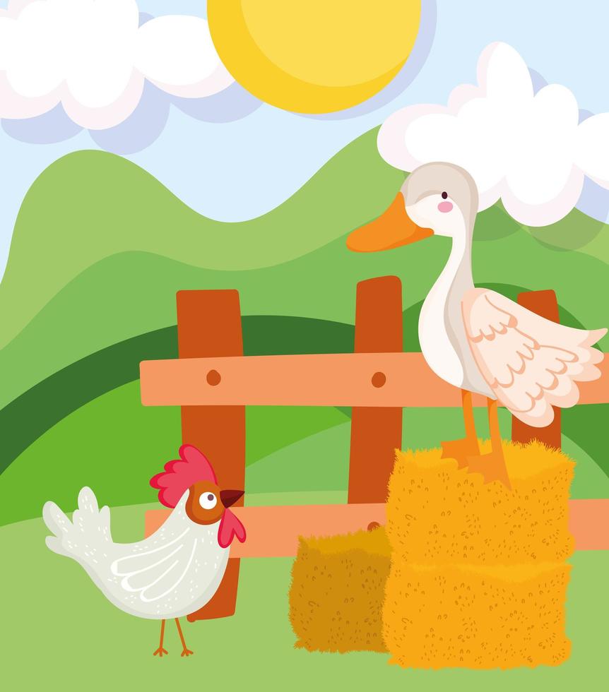 farm animals goose and rooster hay wooden fence cartoon vector