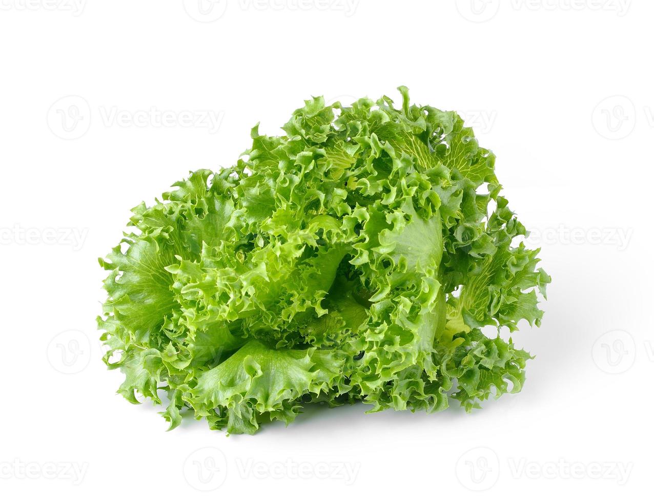 lettuce isolated on white background photo