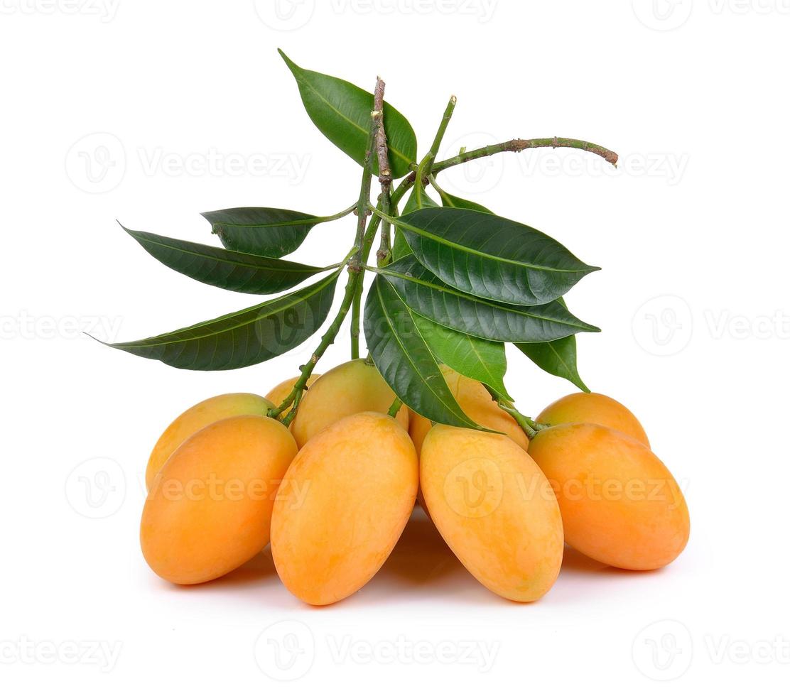 sweet marian plum thai fruit isolated on white backgroun photo